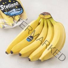 스텔라나 베트남산 고산지 바나나, 1.15kg, 1개