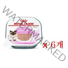 로얄캐닌 고양이 마더앤 베이비캣 울트라 소프트무스 트레이(100g x6개)/베이비캔 수유기캔, 상세 설명 참조, 100g, 6개