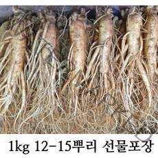 햇 수삼 인삼 1kg 대사이즈 5년근 12-15뿌리 뿌리 (믹서용 홍삼용 실속인삼), 1kg  11-13뿌리, 선물포장(x)