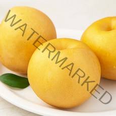 새벽경매 아삭한 배, 1.5kg, 1팩