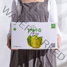 100% 저온추출 국내산 양배추즙 100ml x 60포, 60팩