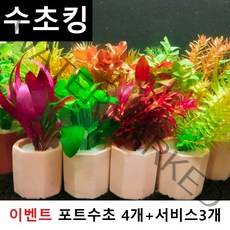 [수초킹 서비스증정] 키우기 쉬운 포트수초랜덤 초보수초 구피 새우 은신처, 4개