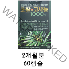 쏘팔코사놀 1000mg 60캡슐x1박스, 60정, 1개