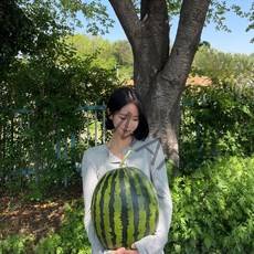 [과애모] 프리미엄 고당도 왕 수박 7~10kg 선물용 가정용, 8kg~9kg