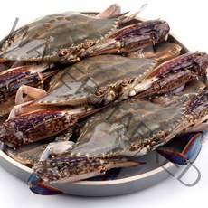 살이 꽉찬 최상급 활 연평도 태안 생물 가을 꽃게 숫꽃게 신선 급냉꽃게 국산 국내산 냉동꽃게 냉동게 게장용 간장게장 꽃게장 밥도둑 산지직송 1kg 2kg 3kg 5kg, 급랭 선별 암꽃게, 1개