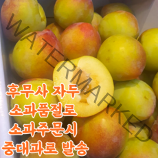 경북 제철 햇 자두 대석 후무사 피자두 추희, 2kg(중과), 1개