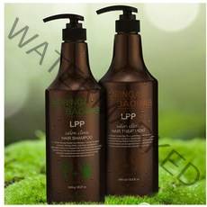 올레이디 모링가 바오밥 샴푸1000ml 단백질+모링가 천연샴푸 샴푸, 1개, 1000ml