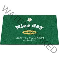 네이쳐리빙 코일 베란다 현관 발매트, 나이스데이 그린, 1개