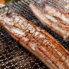 하르방마켓 최상급 자연산 손질 통영 바다 장어 제철 구이 1kg 2kg 3kg 통발 포장 구이용 대 특대, 1kg(대), 1개