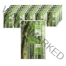 하이랑 벌나무즙, 50개, 100ml