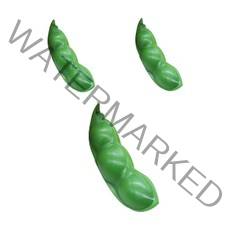 호탱감탱 말랑말랑 클레이 찐득볼 촉감발달완구 완두콩 말랑이 3p, 혼합색상