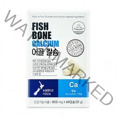 어골칼슘 850mg x 60캡슐 골다공 몸에좋은영양소 가루뼈건강 상어연골 해조칼슘 어골칼슘 콘드로이친, 단품