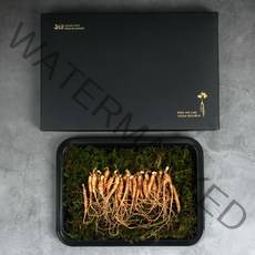 5-6년근 산양산삼 16뿌리 - 26뿌리 못난이 산양삼 장뇌삼 장래삼 장내삼, 못난이 산양삼 30g (16-26뿌리)
