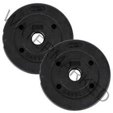 아리프 다이나믹 경량 바벨 원판 30mm용, 2kg, 2개, 블랙
