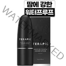 테라픽 헤어 리-터치 커버스틱 8g, 블랙, 1개