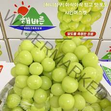 허니삼구 추석 명절 선물세트 망고맛포도 고당도 가정용 샤인머스켓 2KG내외, 2KG내외(2-4송이)