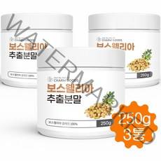 보스웰리아가루 보스웰리아 추출 분말 고농축 보스웰리아원물 보스웰릭산 인도산 250g, 3병