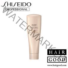 시세이도 프로페셔널 아쿠아 인텐시브 드라이 헤어 트리트먼트, 250ml, 1개