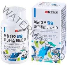 일양약품 어골 해조 칼슘 마그네슘 비타민D 비타민K 48g, 1개