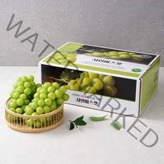 고당도 프리미엄 샤인머스켓 선물세트 선물용 추석 설, S급 샤인머스켓 2kg(3~4수)