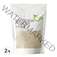 그린팟 천마 분말, 200g, 2개