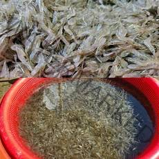 국내산 100% 자연산 민물새우 2kg, 1개