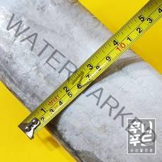 대왕갈치 한마리 1k이상 특대 수입갈치 손질및 소금간 서비스 부드럽고 두꺼운갈치 먹갈치 은갈치 부모님선물, 대왕수입갈치 1k이상 (손질 후 750g), 1개