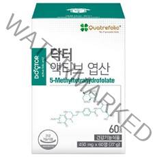 닥터 액티브 맘스 엽산 활성형 임신초기 임신전 임신준비 임산부 영양제, 액티브엽산 2개월분