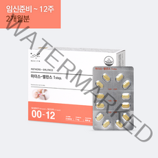 [본사]병원용 메디포스트 모비타 임신준비 임신초기 종합영양제 마더스밸런스1(2개월분/임신준비기-13주), 1개, 120정