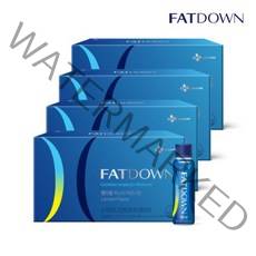 CJ 팻다운 부스터 카르니틴 4박스 (총 8주분), 700ml, 4개