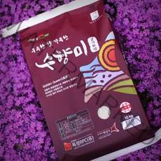 수향미 10kg 23년 구수한 맛있는쌀 선물 골든퀸3호