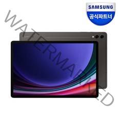 삼성전자 갤럭시탭 S9 플러스 256GB/512GB, 256GB x Wi-Fi, 그라파이트