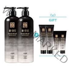 [흑갈색] LG 리엔 물들임 새치커버 샴푸 450ml 흑갈색 2개 + 새치커버 트리트먼트 흑갈색 150ml 2개 + 새치커버 샴푸 80ml 흑갈색 1개 + 트리트먼트 80ml 1개, 단품