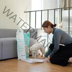 강아지배변패드 요요쉬 해우소 벨버드 자존심 소형 중형 애견대형패드, 13-1.개도루팡패드 - 소형 50매