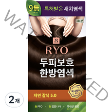 려 자양윤모 새치커버 염모제 20g x 3p, 자연갈색 5 0, 2개