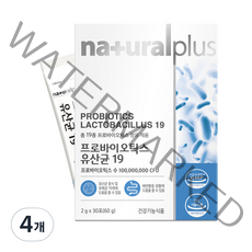 내츄럴플러스 프로바이오틱스 유산균 19, 60g, 4개