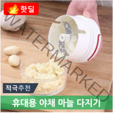리앤수 휴대용 다지기 야채 마늘 고기 믹서, 1개
