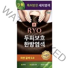 려 자양윤모 새치커버 염모제 20g x 3p, 자연갈색 5 0, 1개