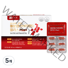 종근당 철분 엽산 비타민D 플러스, 60정, 5개