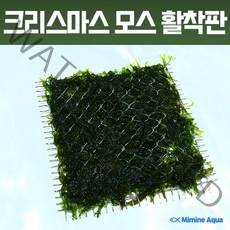 미미네플랜츠 크리스마스 모스 활착판 (8x8cm), 단품