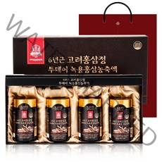 고려홍삼중앙회 6년근 고려홍삼정 투데이 녹용홍삼농축액 + 쇼핑백, 250g, 1세트