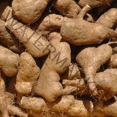 흙사랑농원 마 안동 참마 산마 2kg 실속, 1개