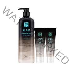 [자연갈색] LG 리엔 물들임 새치커버샴푸 450 ml + 새치커버 샴푸 80ml 2개(추가증정), 단품