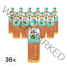 innoN 갈증에 한 수 위 헛개수, 1L, 36개