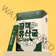 튼튼대학 강아지 꿀꺽 유산균 장 피부 눈 관절 치아 면역력 종합 영양제, 1박스