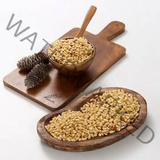 미강착한먹거리 가평백잣 황잣 가락시장 직배송 100g 200g 250g 500g 1kg 잣, 1개, 가평 황잣 100g