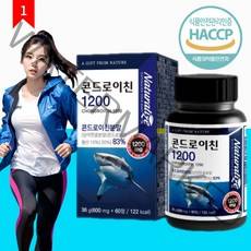 바이오드빅 철갑상어 콘드로이친 1200, 1통, 60정