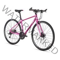 Giant 자이언트자전거 여성로드입문용MTB자전거, 옵션1.레드.불루Rincon S