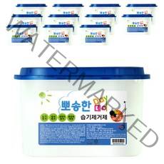뽀송한데이 참숯 습기제거제 본품, 525ml, 12개입