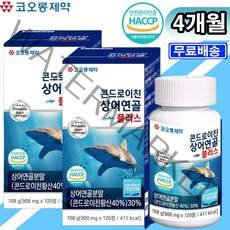 철갑상어콘드로이친 연골 초록홍합 히알루론산 콘드로이친효능 글리세린지방산에스테르 2통 4개월, 4개, 120정